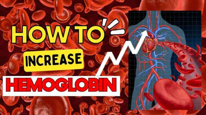 How to Increase Hemoglobin