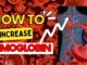 How to Increase Hemoglobin