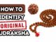 How to identify original Rudraksha