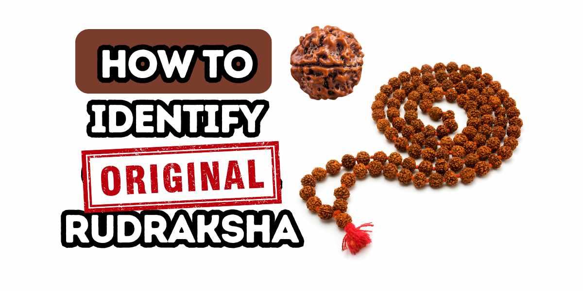 How to identify original Rudraksha