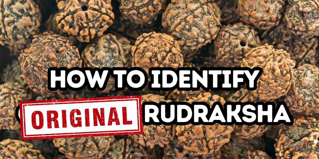 How to Identify Original Rudraksha