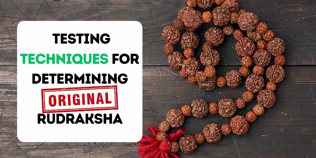 Testing Techniques for Determining Original Rudraksha