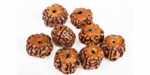 mukhi or facets